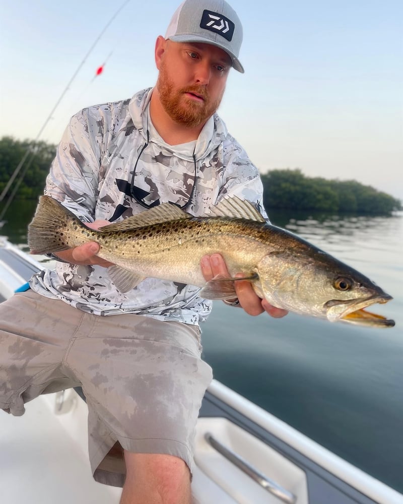 Bokellia->Boca Grande Inshore Adventure In Bokeelia