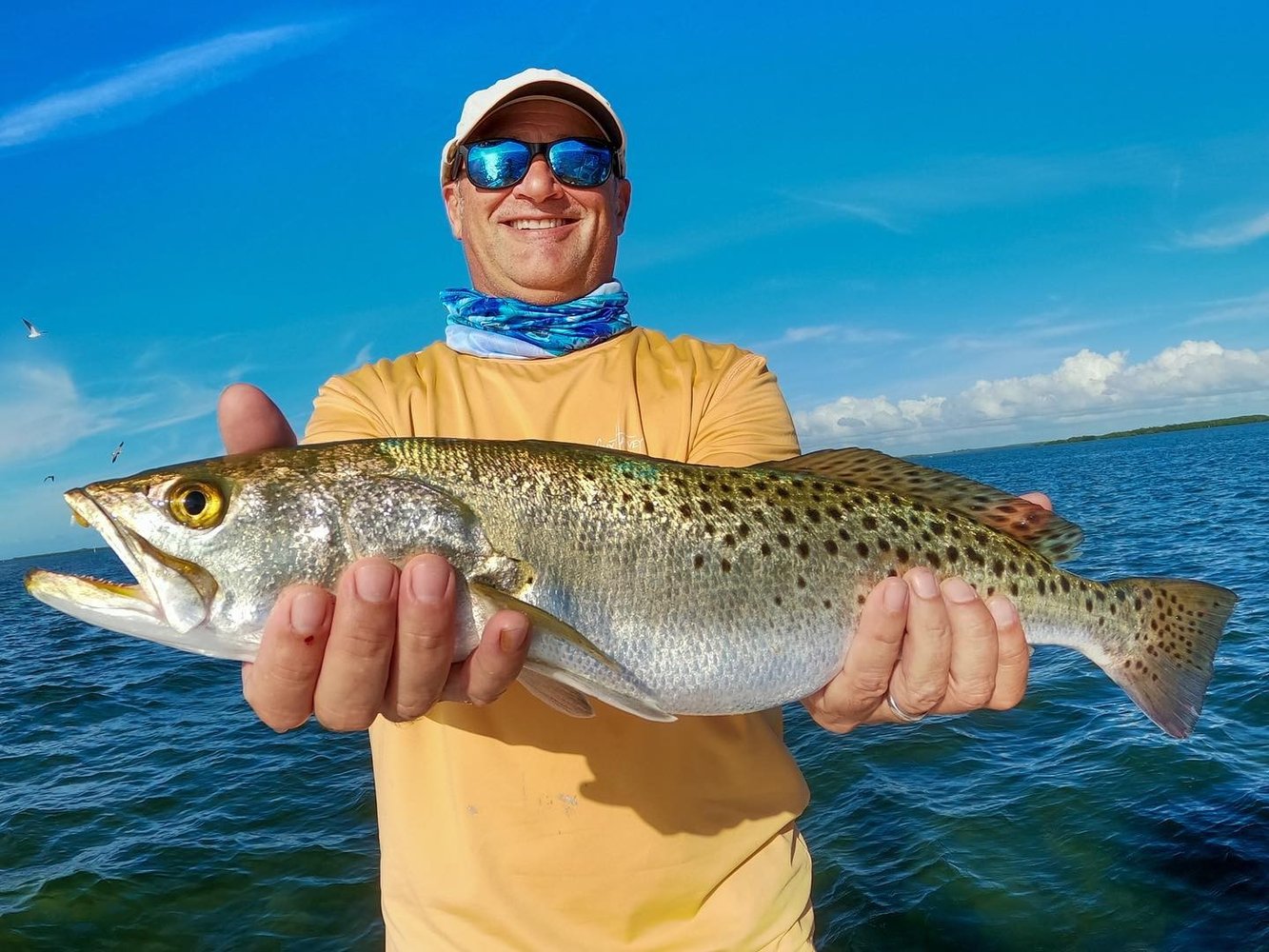 Bokellia->Boca Grande Inshore Adventure In Bokeelia