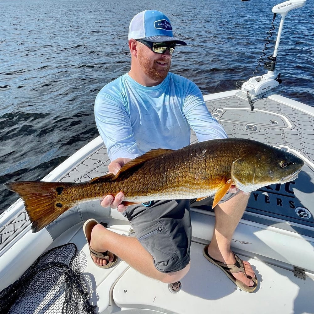 Bokellia->Boca Grande Inshore Adventure In Bokeelia