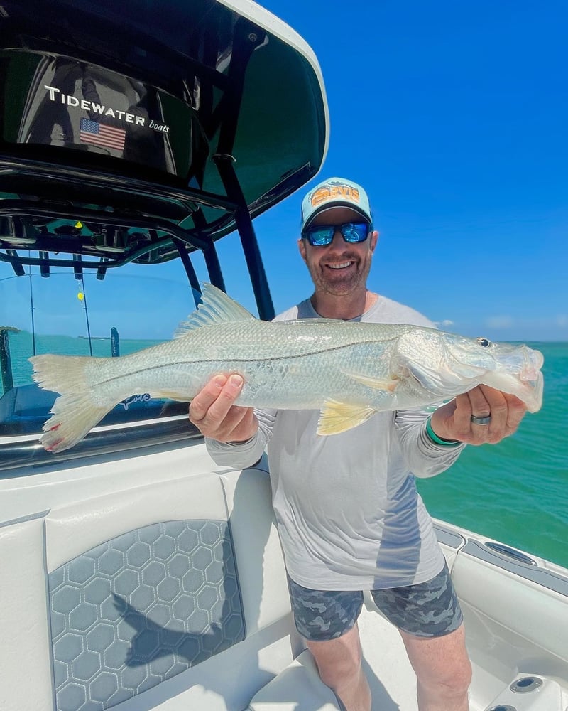 Bokellia->Boca Grande Inshore Adventure In Bokeelia