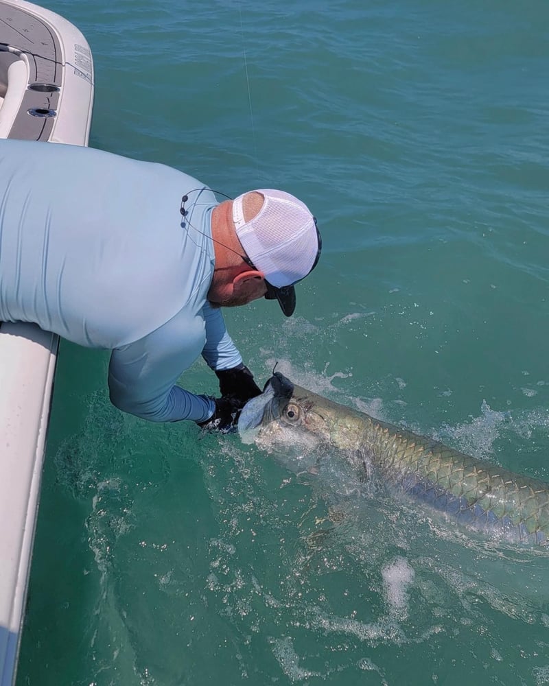 Tarpon Trip! Bokellia To The Pass In Bokeelia