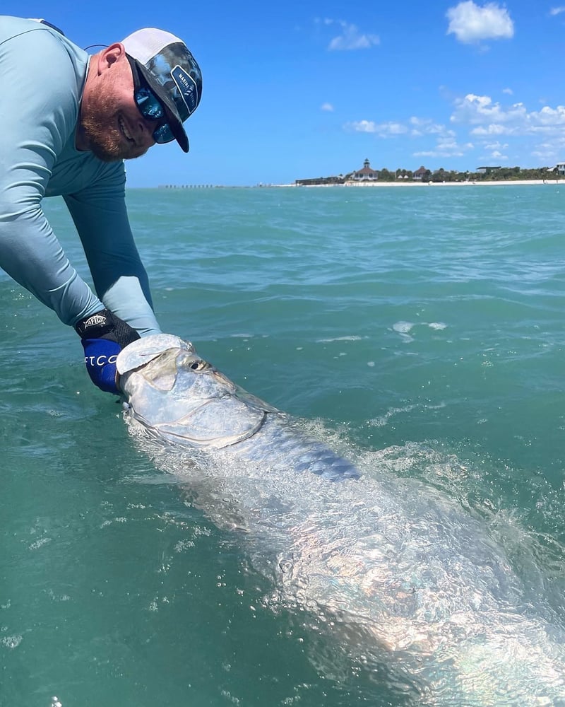 Tarpon Trip! Bokellia To The Pass In Bokeelia