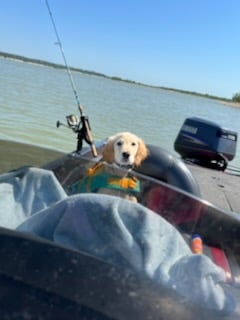 Stillhouse Lake Bass Fishing In Belton