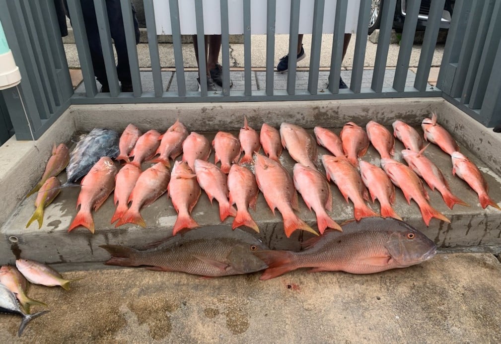 Big Boat Mixed Bag In Lantana