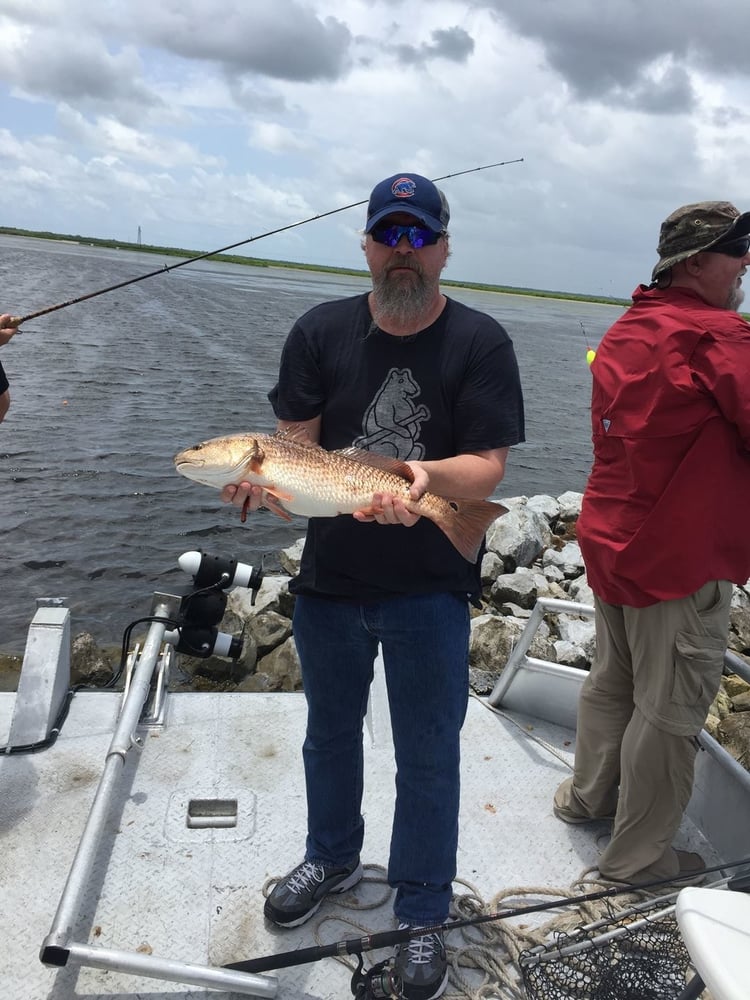 Morning Big Group Excursions In Lafitte