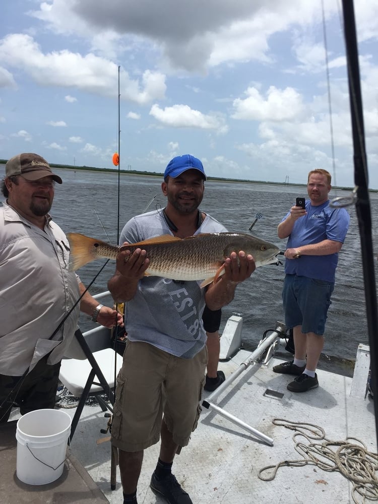 Morning Big Group Excursions In Lafitte