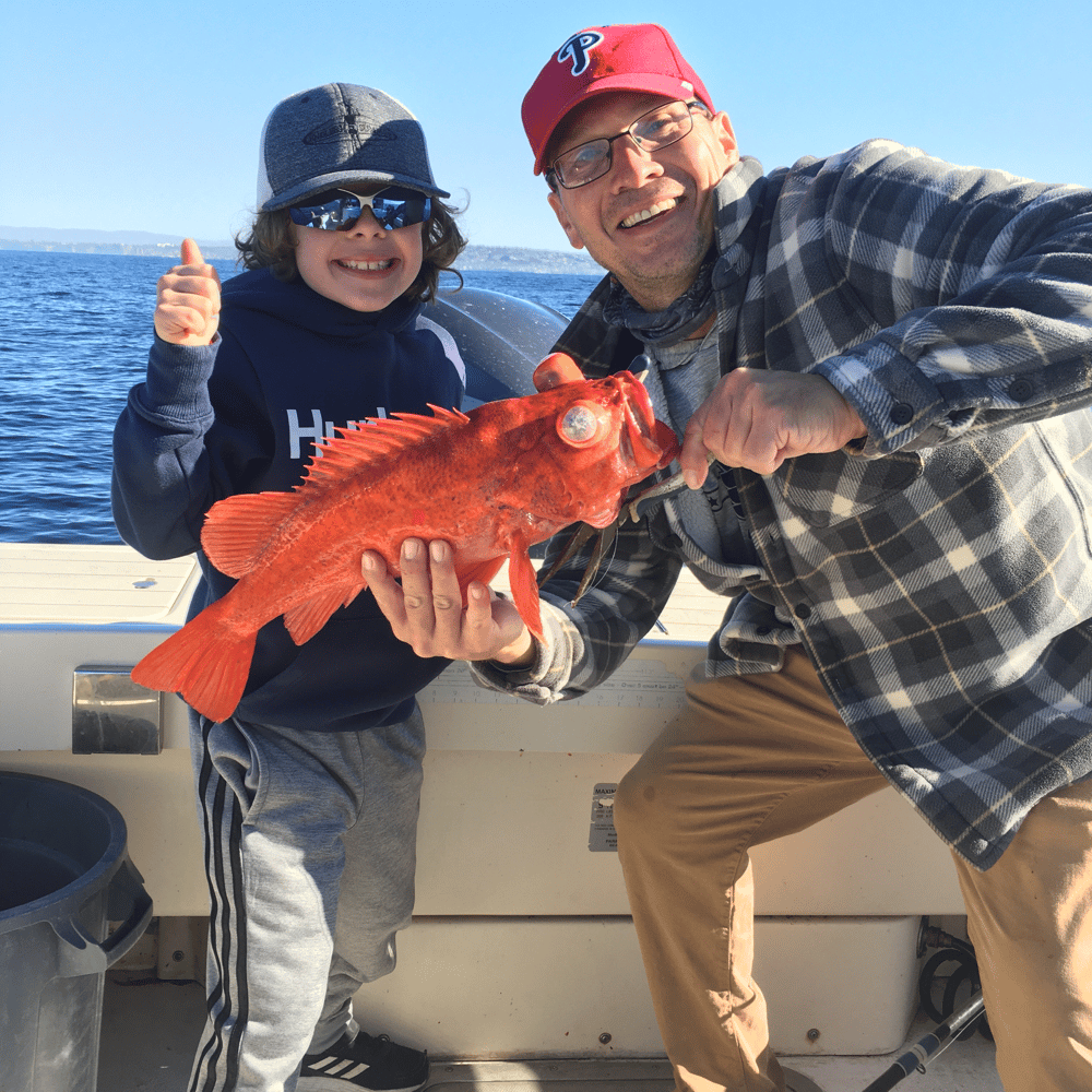 Half Day Inshore/Coastal In San Diego