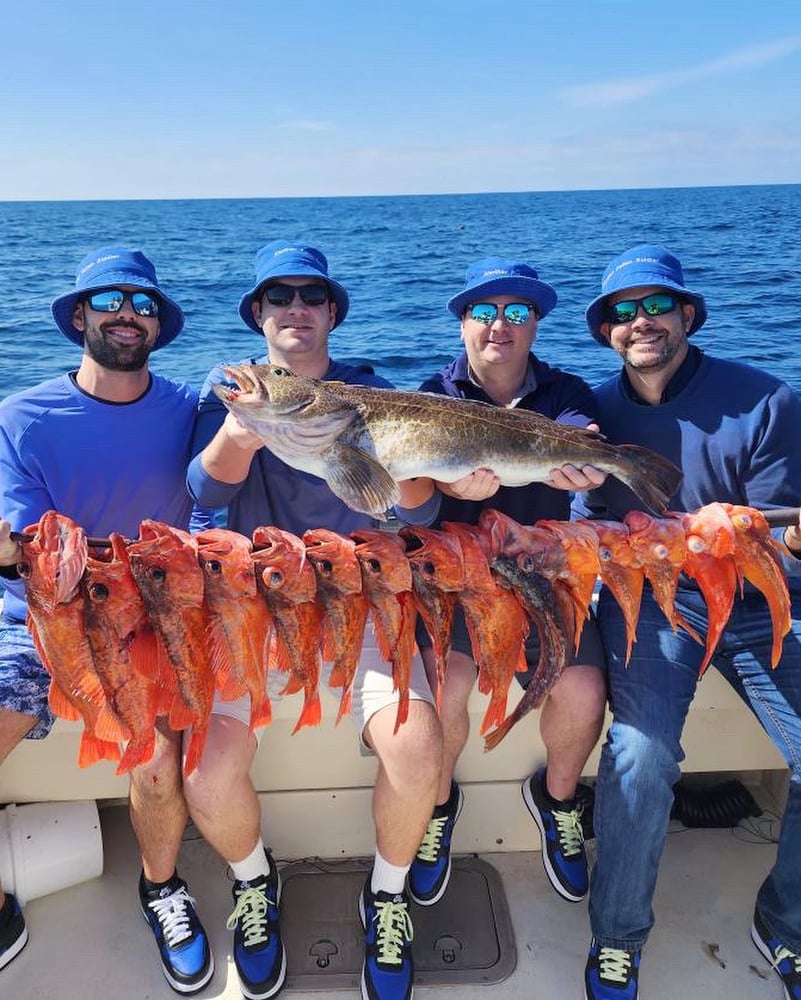 Inshore/Coastal (9 Hr.) In San Diego