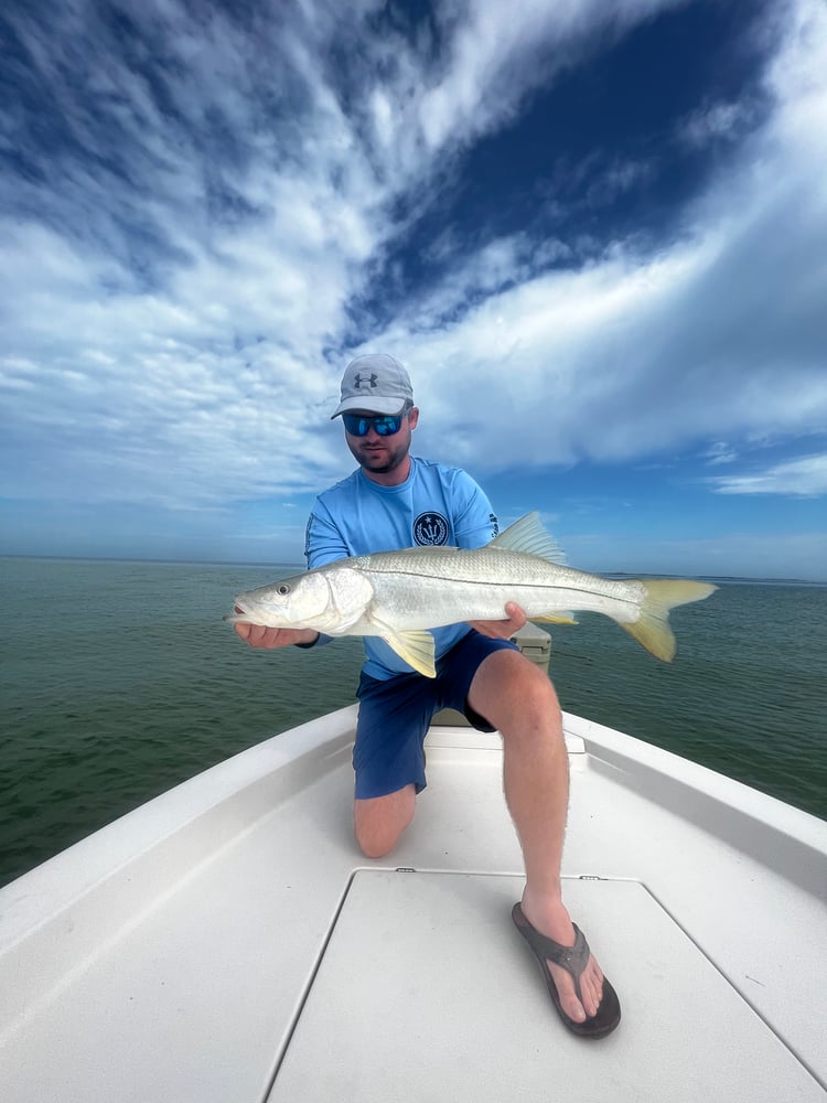 Clearwater Inshore Fishing In Clearwater