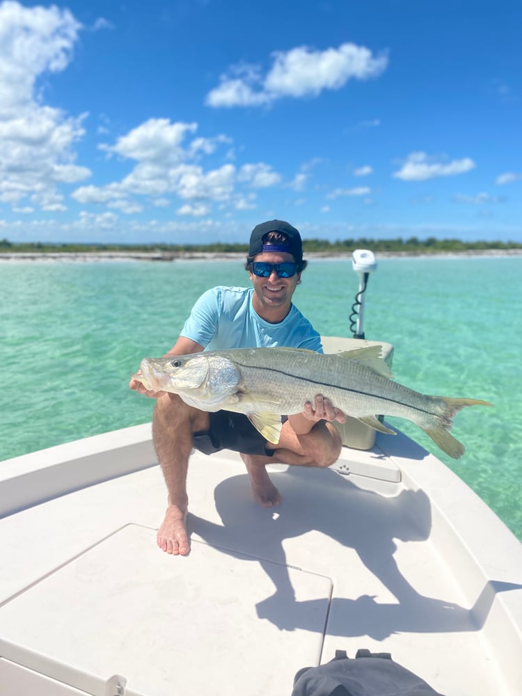 Clearwater Inshore Fishing In Clearwater