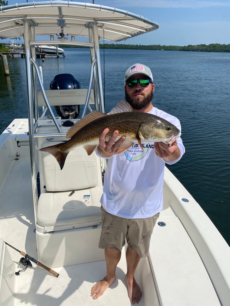 Clearwater Inshore Fishing In Clearwater