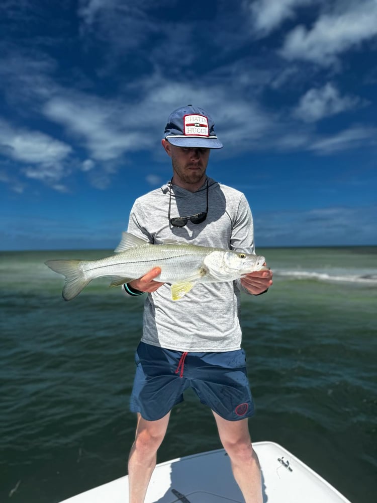 Clearwater Inshore Fishing In Clearwater