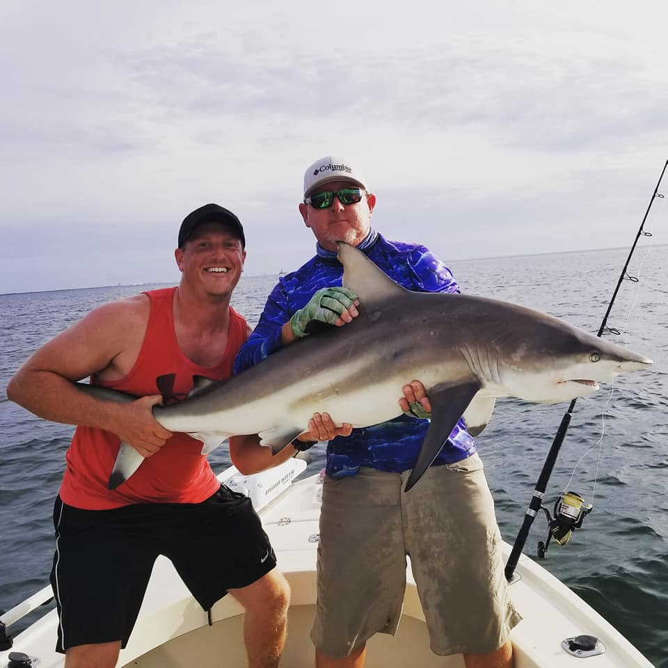 Tampa Bay Shark Hunt In Ruskin