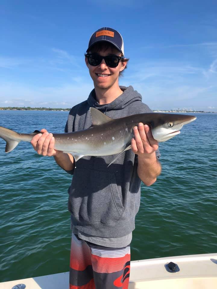 Tampa Bay Shark Hunt In Ruskin