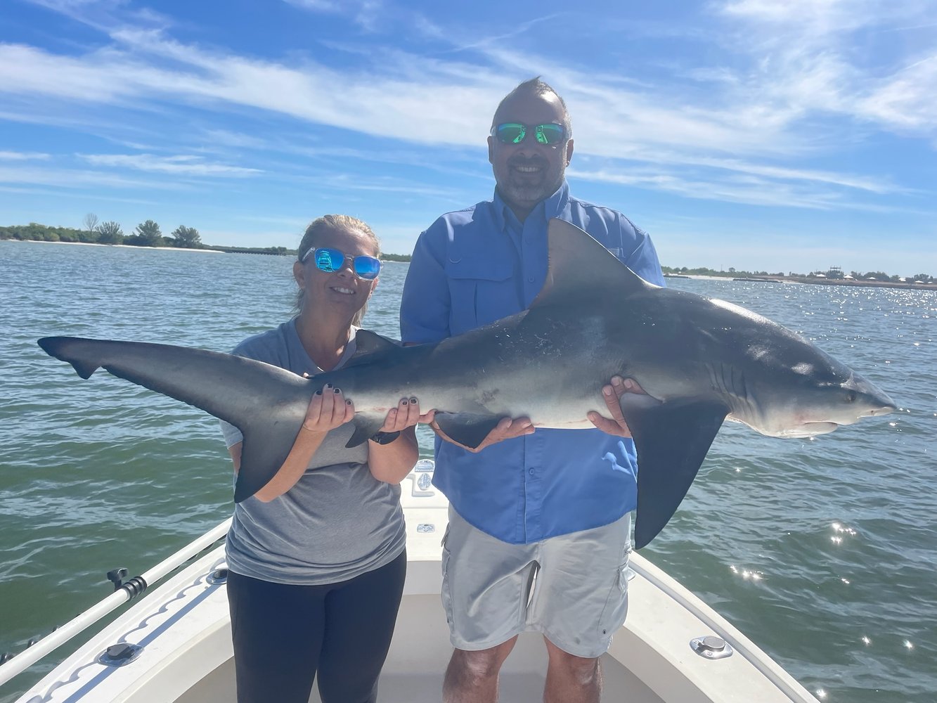 Tampa Bay Shark Hunt In Ruskin