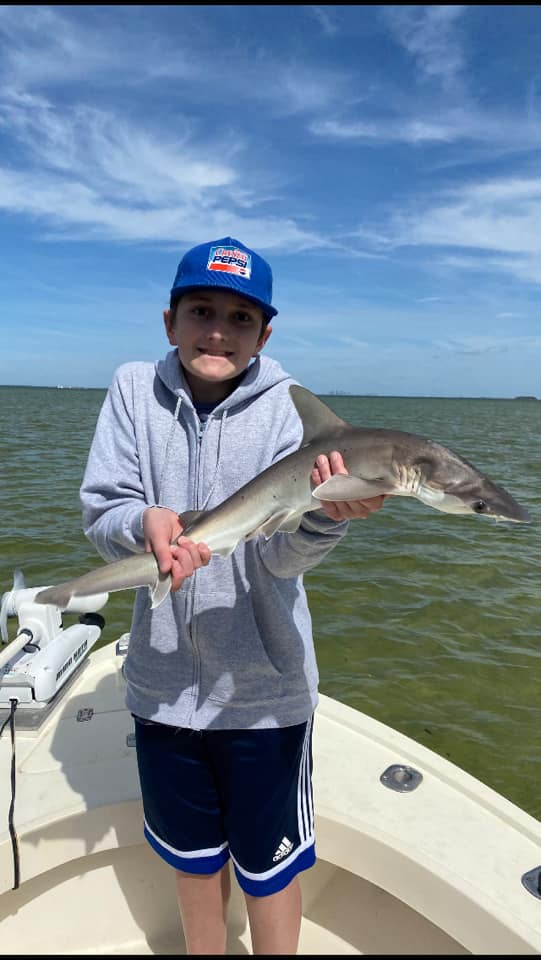 Tampa Bay Shark Hunt In Ruskin