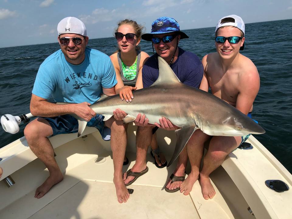 Tampa Bay Shark Hunt In Ruskin