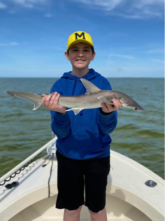 Tampa Bay Shark Hunt In Ruskin