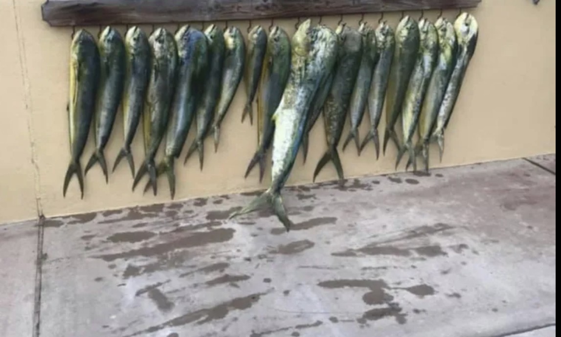 Fishing Deep Off Port A In Port Aransas