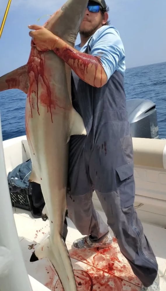 Fishing Deep Off Port A In Port Aransas