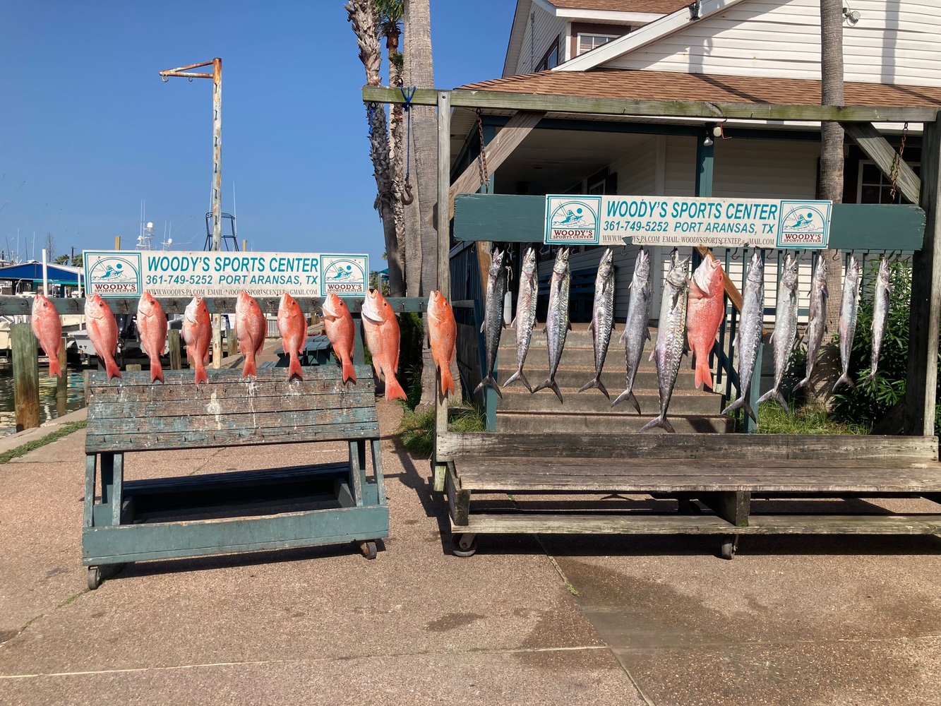 Fishing Deep Off Port A In Port Aransas