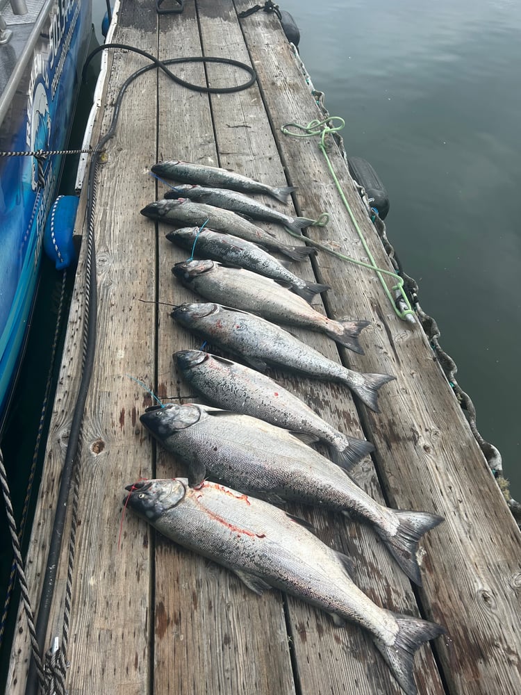 Astoria Salmon Fishing Trip At Buoy 10 In Warrenton