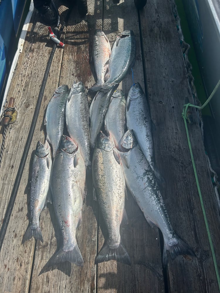 Astoria Salmon Fishing Trip At Buoy 10 In Warrenton