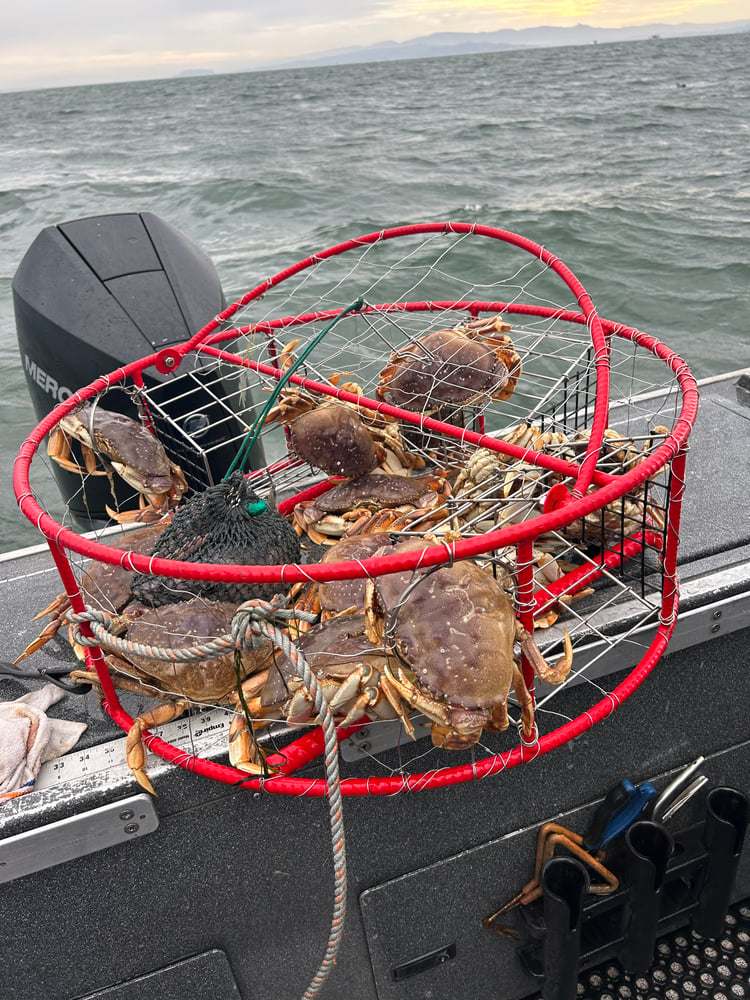 Astoria Crabbing Trip In Warrenton