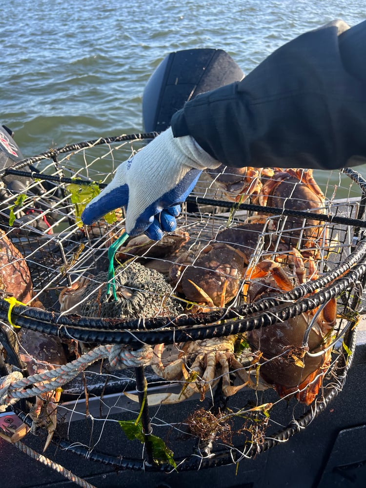 Astoria Crabbing Trip In Warrenton