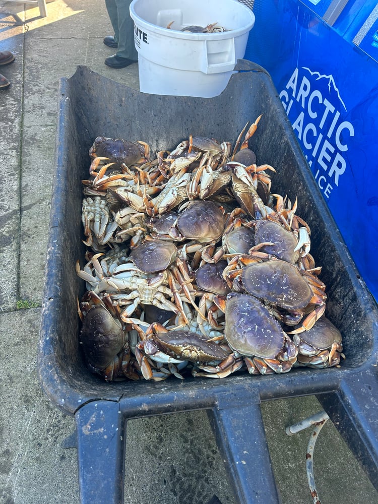 Astoria Crabbing Trip In Warrenton