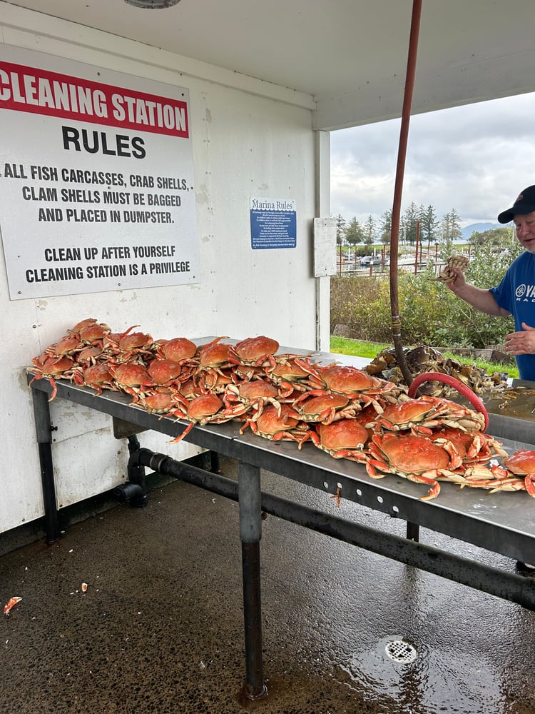 Astoria Crabbing Trip In Warrenton