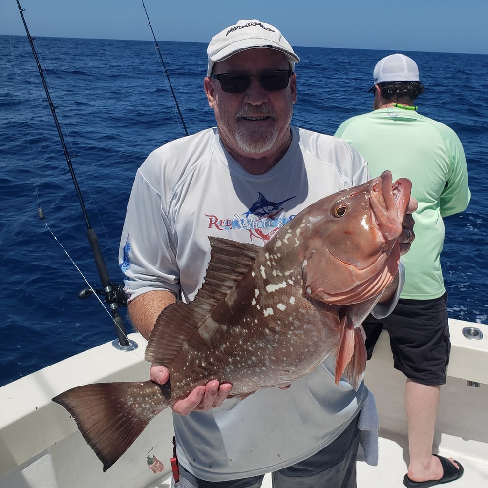 Clearwater Fishing Thriller! In Clearwater