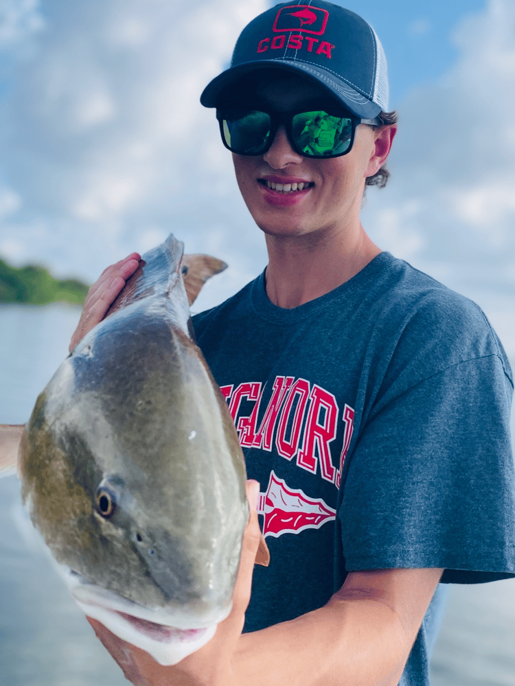 Inshore Family Fun Fishing In Tampa