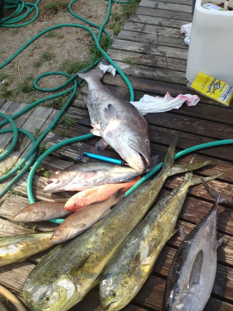 Destin Fishing Fun In Destin