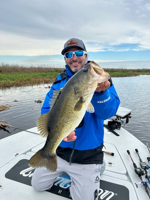 Premier Everglades Fishing In Palmetto Bay