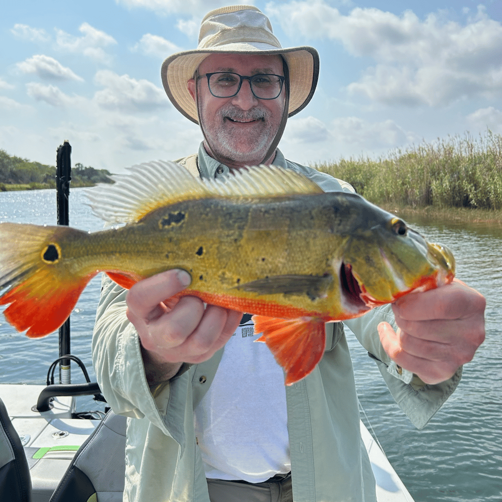 Premier Everglades Fishing In Palmetto Bay