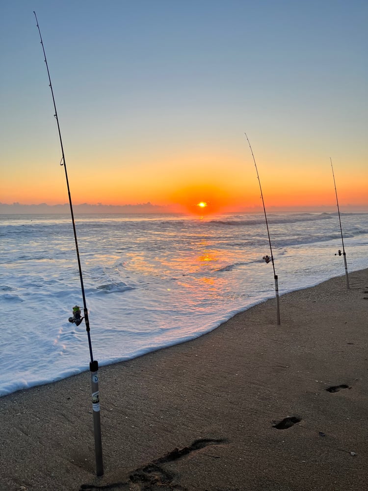 Pompano Surf Fishing Special In Melbourne Beach