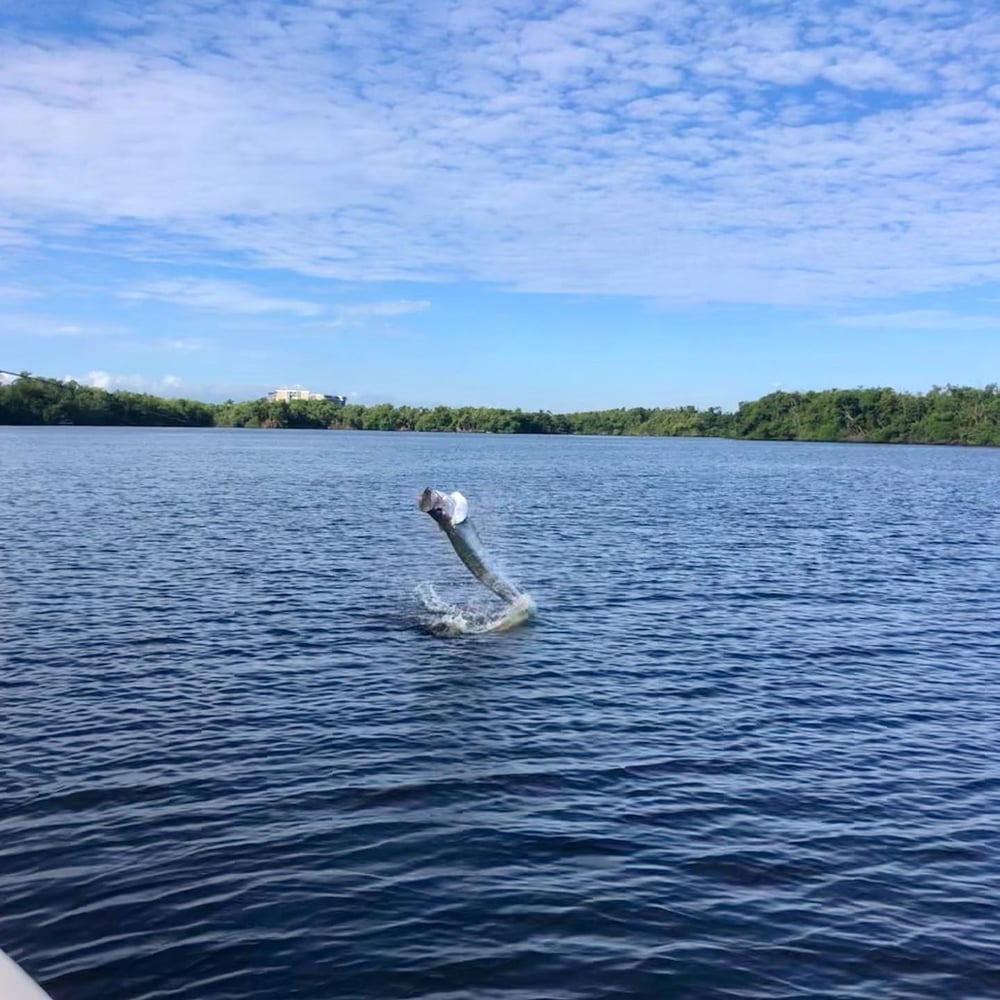 Puerto Rico Inshore Adventure In Carolina