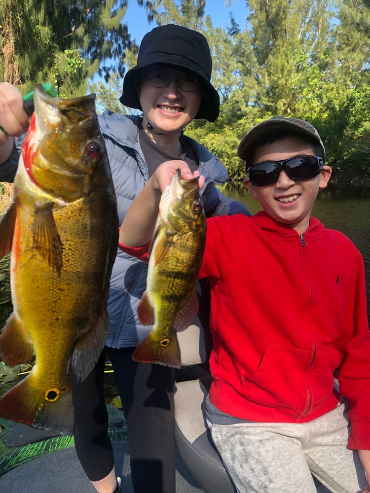 Everglades Peacock Bass/Largemouth In Fort Lauderdale