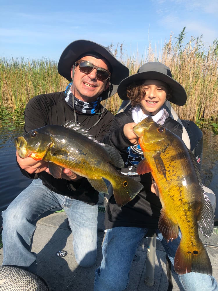 Everglades Peacock Bass/Largemouth In Fort Lauderdale