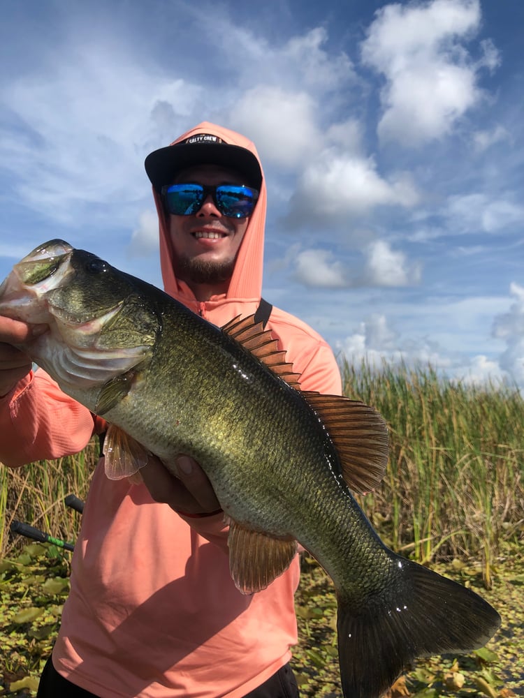 Everglades Peacock Bass/Largemouth In Fort Lauderdale