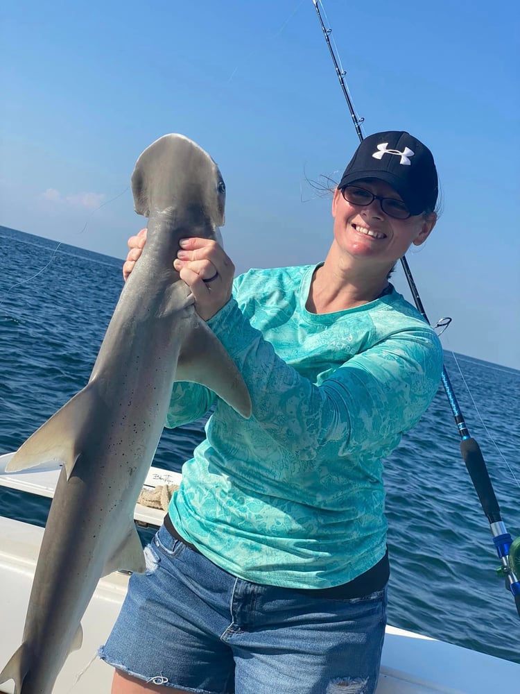 Galveston Shark Trip In Galveston