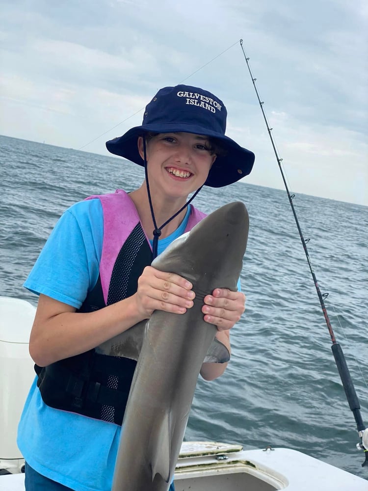 Galveston Shark Trip In Galveston