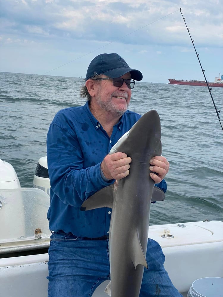 Galveston Shark Trip In Galveston