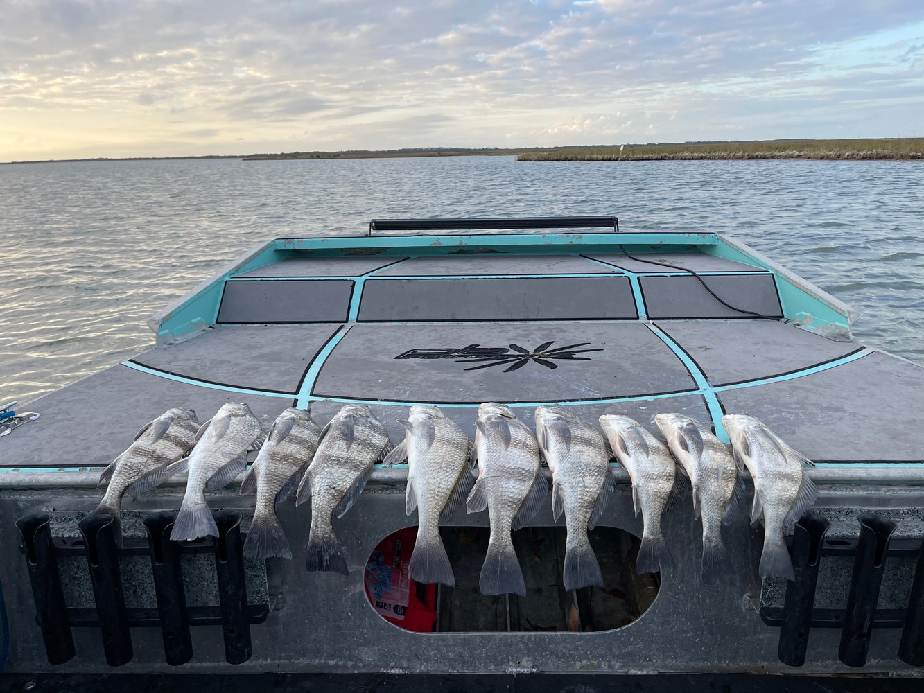 Rockport Trout Redfish And Black Drum In Rockport