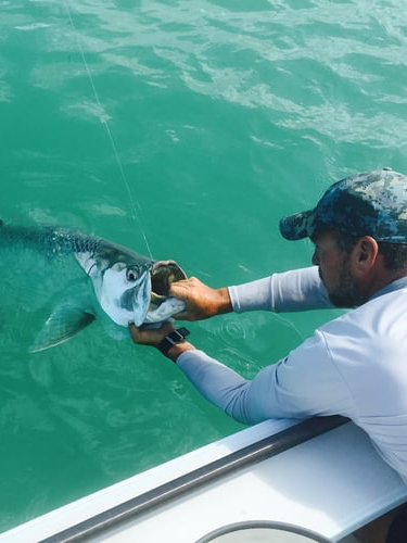 Islamorada Tarpon On The Fly In Islamorada