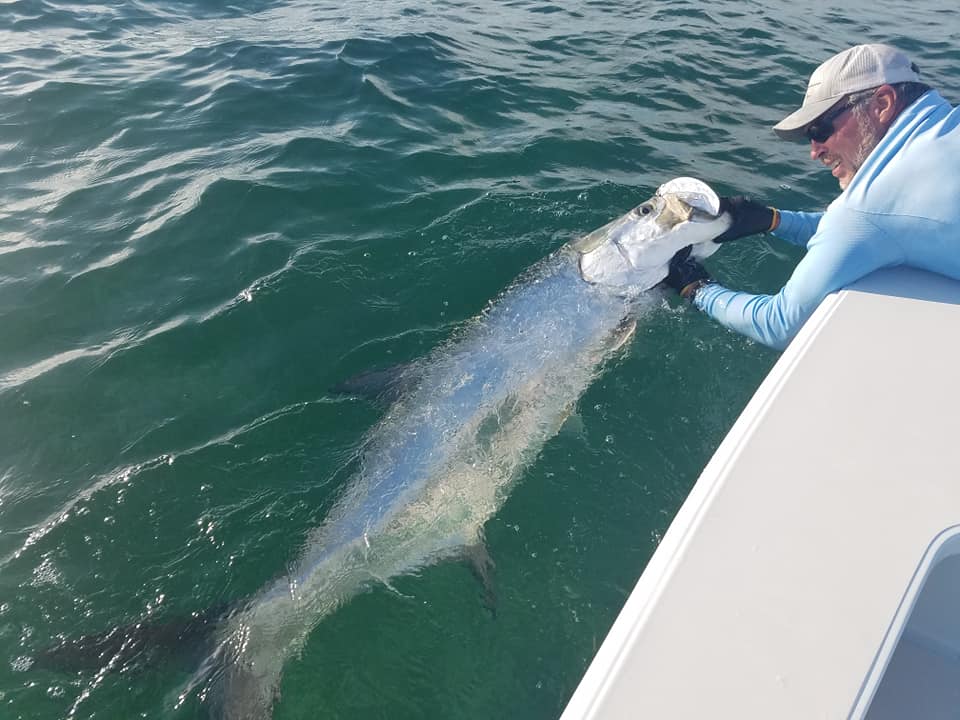 Islamorada Tarpon On The Fly In Islamorada