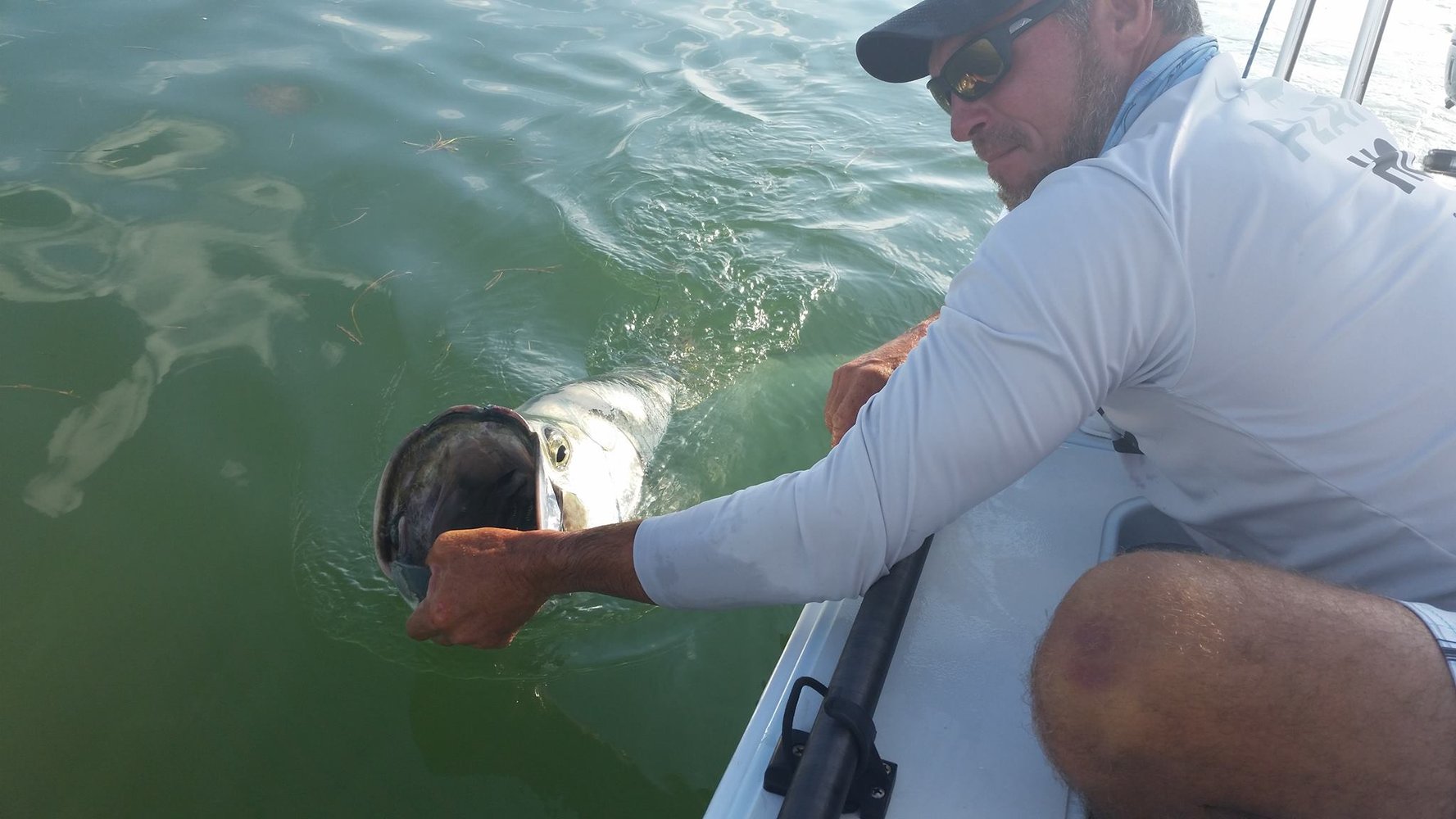 Islamorada Tarpon On The Fly In Islamorada