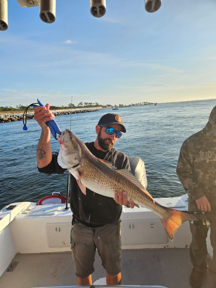 Chasin’ Tails 6 Hour Trip In Panama City Beach