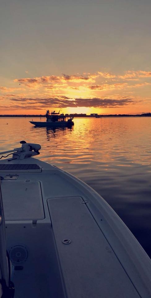 Shark Trip In Holmes Beach